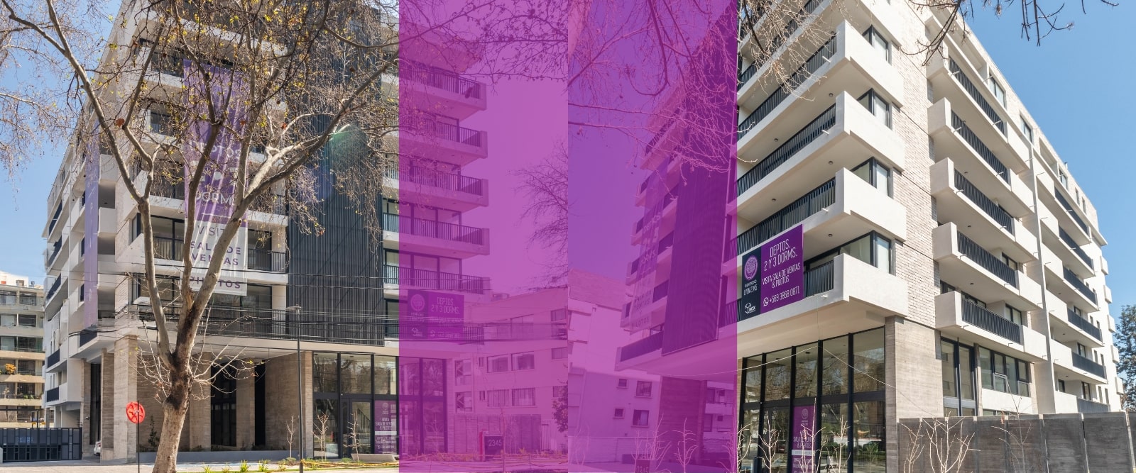 LYON PROVIDENCIA